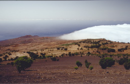 Passatwolken auf der Südseite von El Hierro